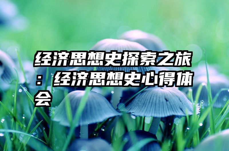 经济思想史探索之旅：经济思想史心得体会