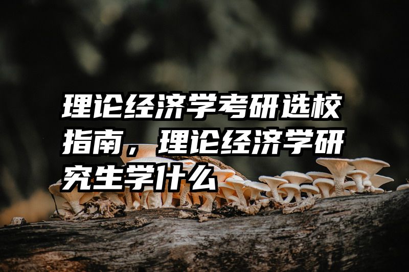 理论经济学考研选校指南，理论经济学研究生学什么