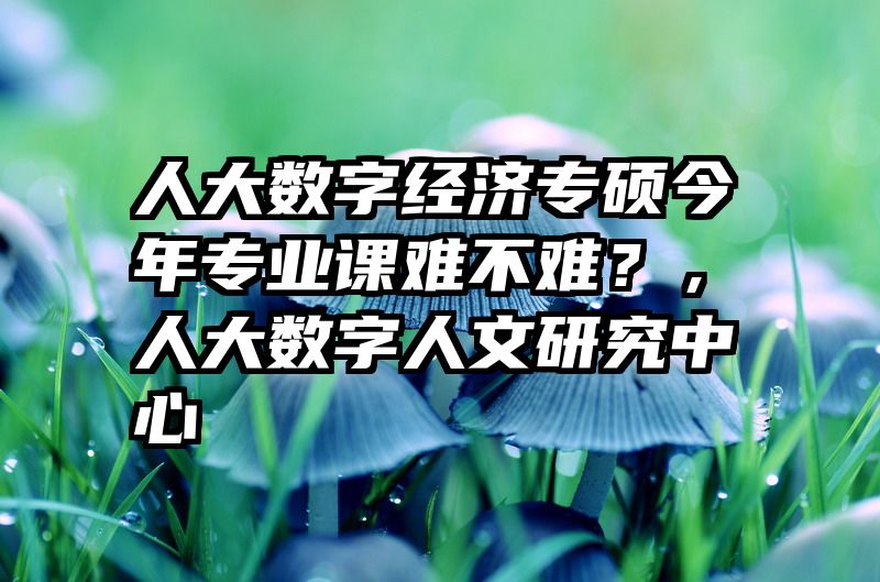 人大数字经济专硕今年专业课难不难？，人大数字人文研究中心