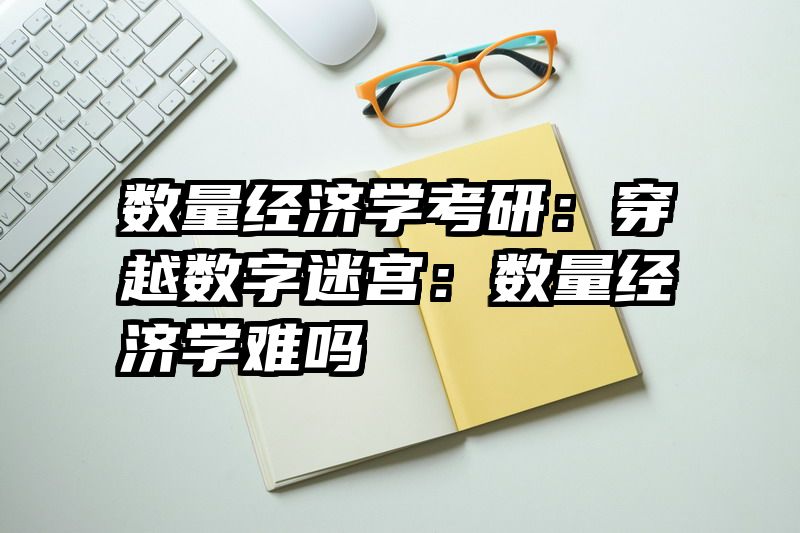 数量经济学考研：穿越数字迷宫：数量经济学难吗