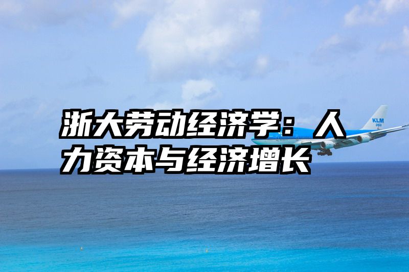 浙大劳动经济学：人力资本与经济增长