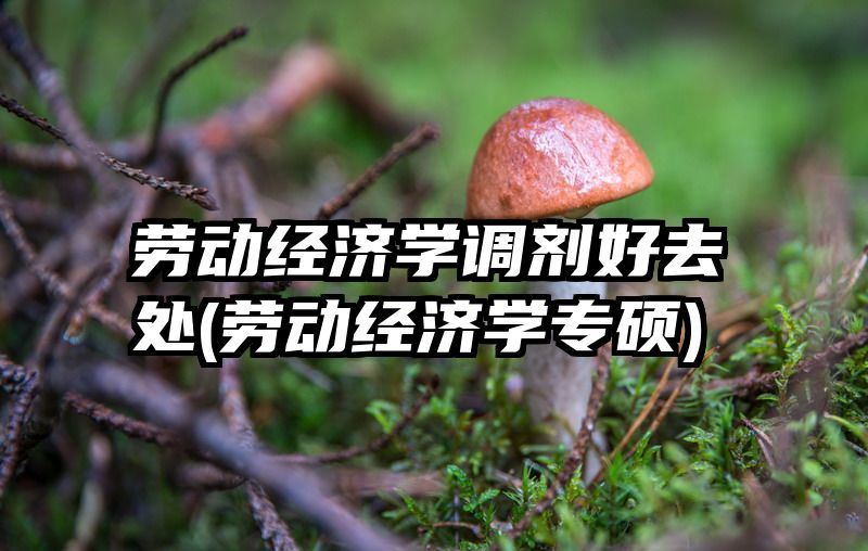 劳动经济学调剂好去处(劳动经济学专硕)