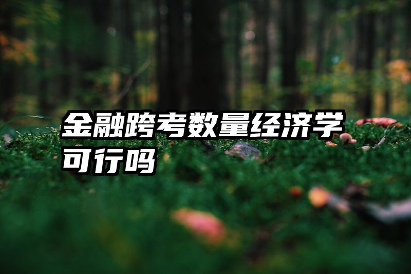 金融跨考数量经济学可行吗