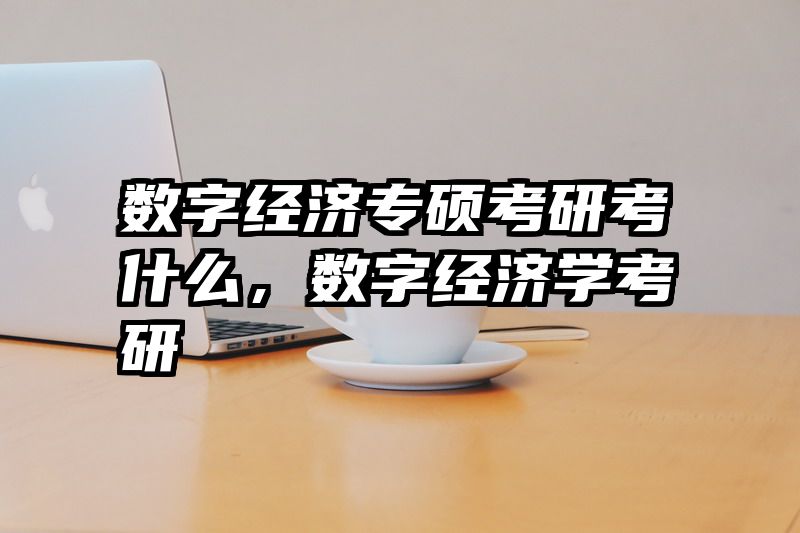 数字经济专硕考研考什么，数字经济学考研