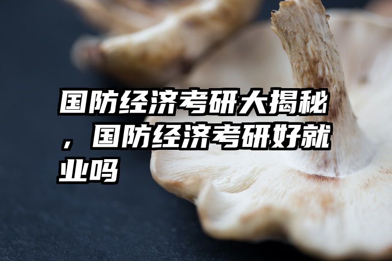 国防经济考研大揭秘，国防经济考研好就业吗