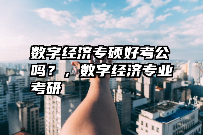 数字经济专硕好考公吗？，数字经济专业考研