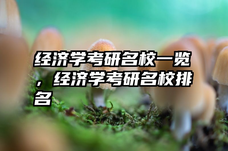 经济学考研名校一览，经济学考研名校排名