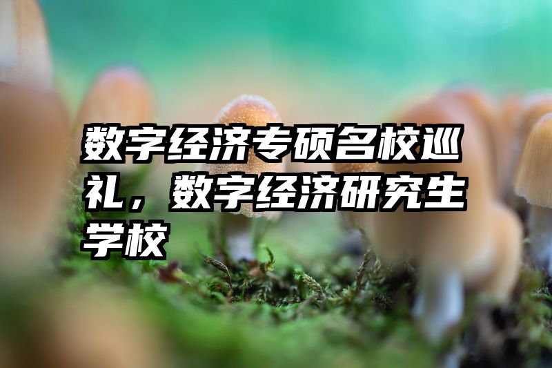 数字经济专硕名校巡礼，数字经济研究生学校