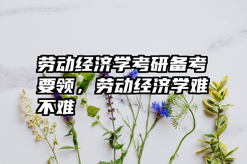 劳动经济学考研备考要领，劳动经济学难不难