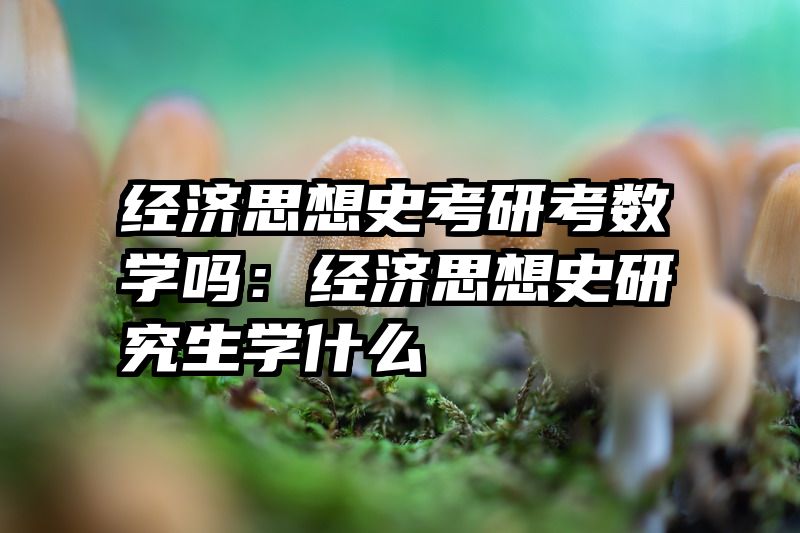 经济思想史考研考数学吗：经济思想史研究生学什么