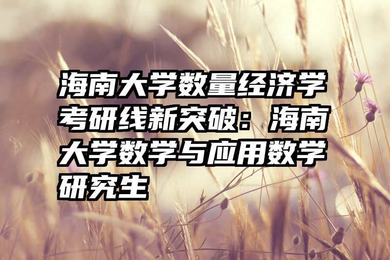 海南大学数量经济学考研线新突破：海南大学数学与应用数学研究生