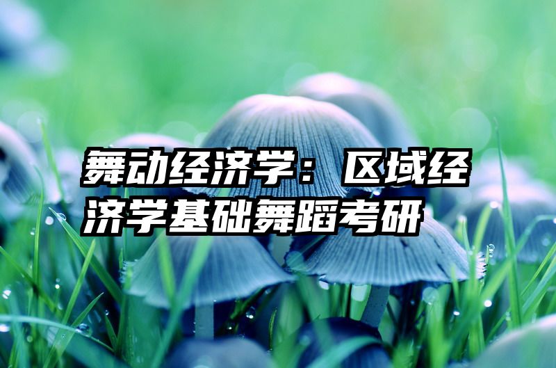 舞动经济学：区域经济学基础舞蹈考研