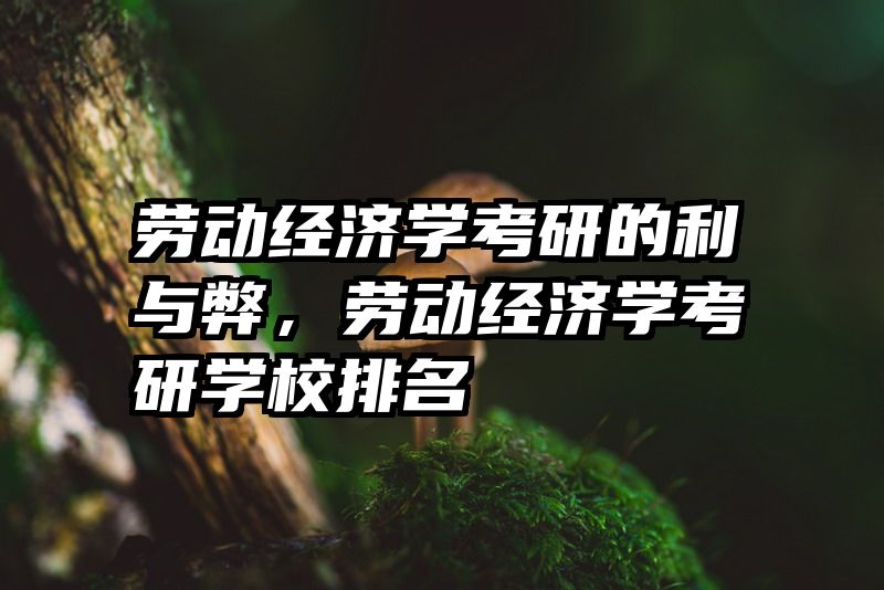 劳动经济学考研的利与弊，劳动经济学考研学校排名