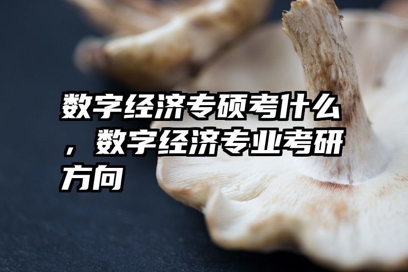 数字经济专硕考什么，数字经济专业考研方向