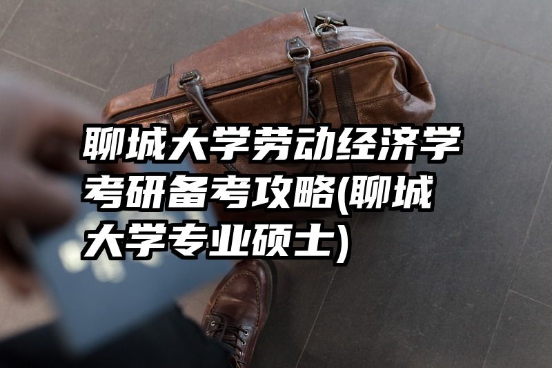 聊城大学劳动经济学考研备考攻略(聊城大学专业硕士)