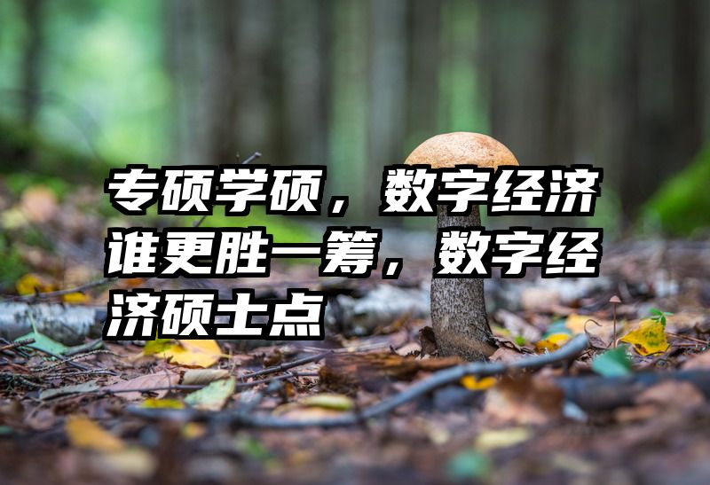 专硕学硕，数字经济谁更胜一筹，数字经济硕士点