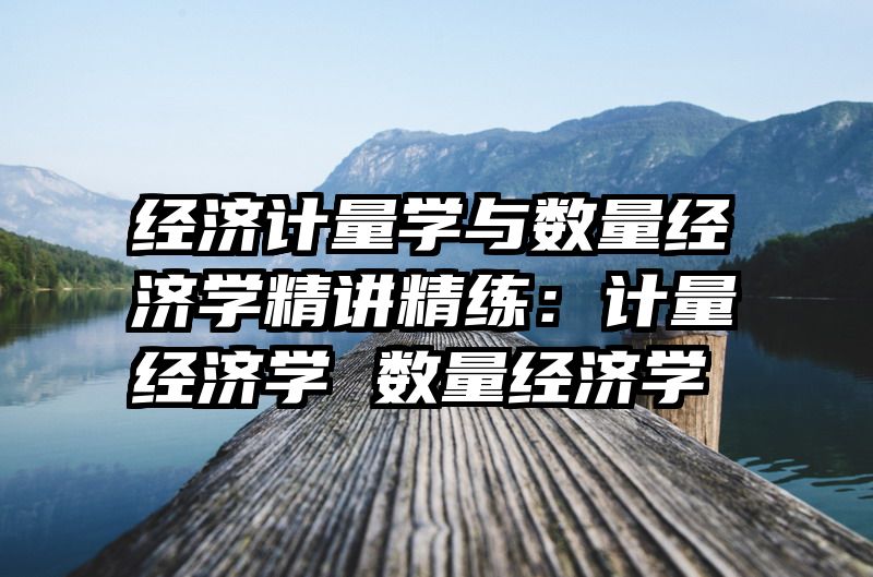 经济计量学与数量经济学精讲精练：计量经济学 数量经济学