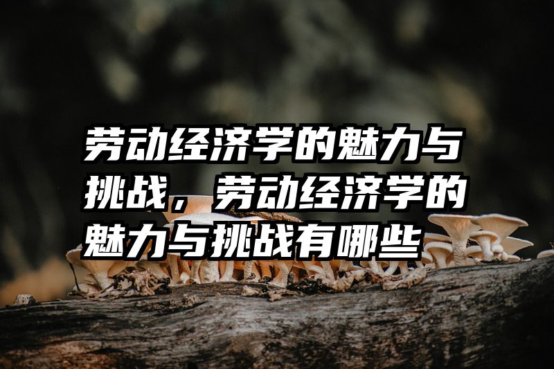 劳动经济学的魅力与挑战，劳动经济学的魅力与挑战有哪些