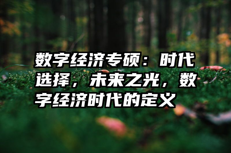 数字经济专硕：时代选择，未来之光，数字经济时代的定义