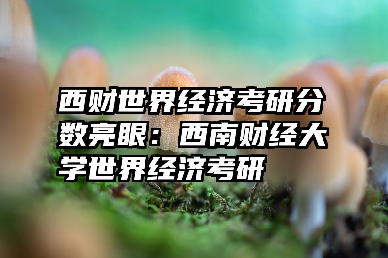 西财世界经济考研分数亮眼：西南财经大学世界经济考研