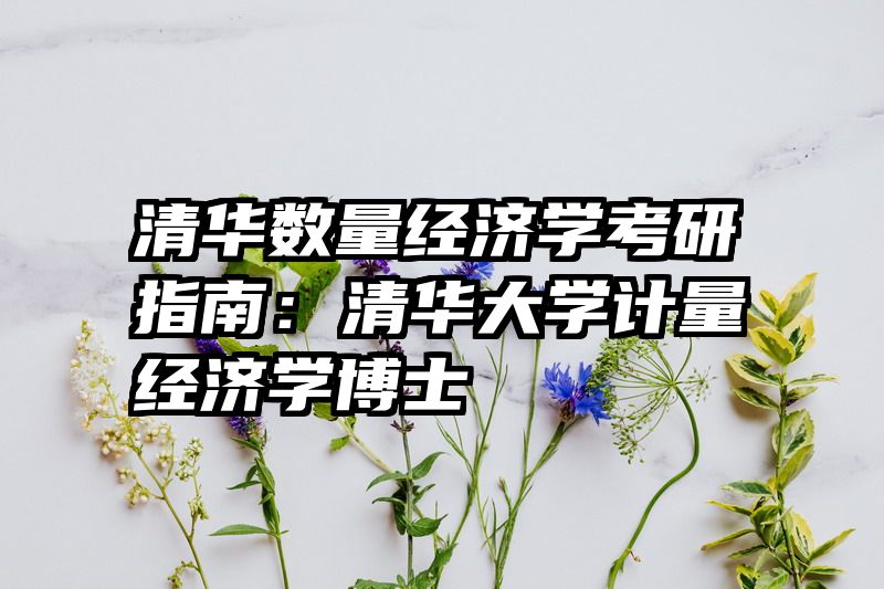 清华数量经济学考研指南：清华大学计量经济学博士