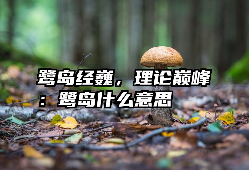 鹭岛经巍，理论巅峰：鹭岛什么意思