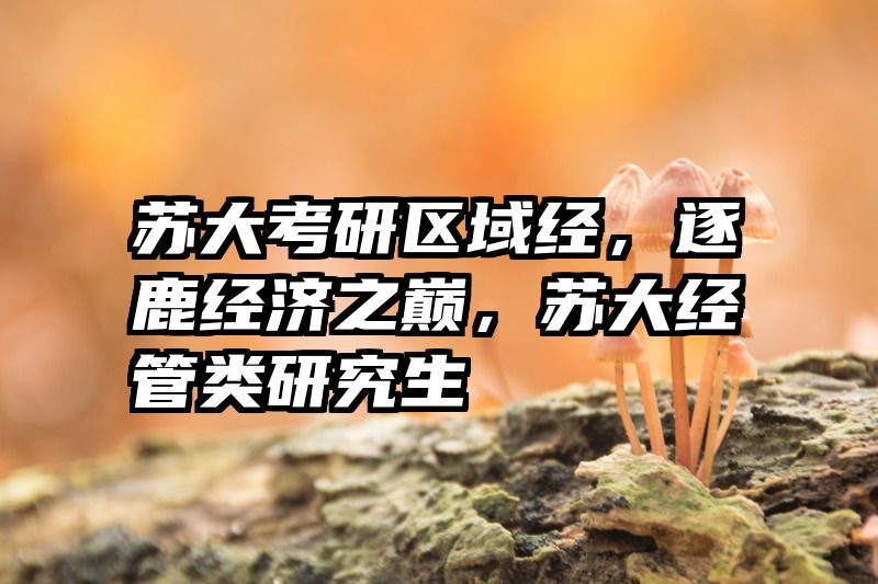 苏大考研区域经，逐鹿经济之巅，苏大经管类研究生