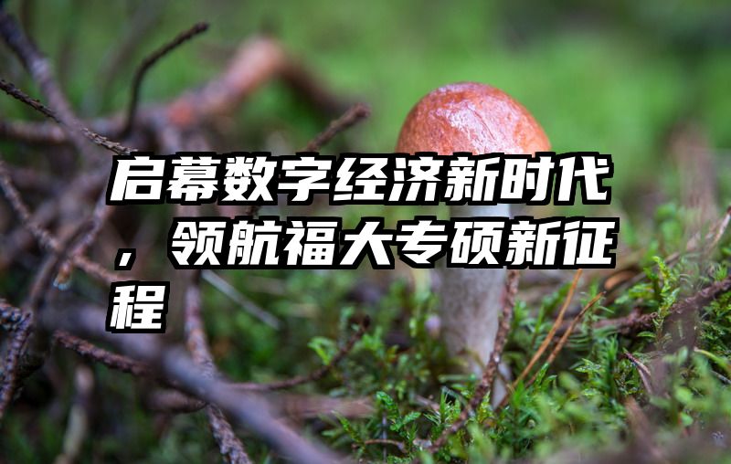 启幕数字经济新时代，领航福大专硕新征程