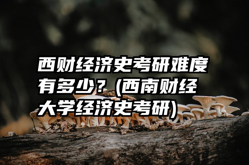 西财经济史考研难度有多少？(西南财经大学经济史考研)