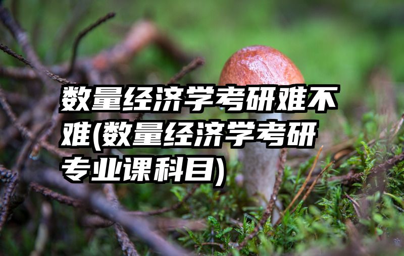 数量经济学考研难不难(数量经济学考研专业课科目)