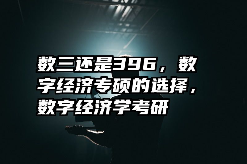 数三还是396，数字经济专硕的选择，数字经济学考研