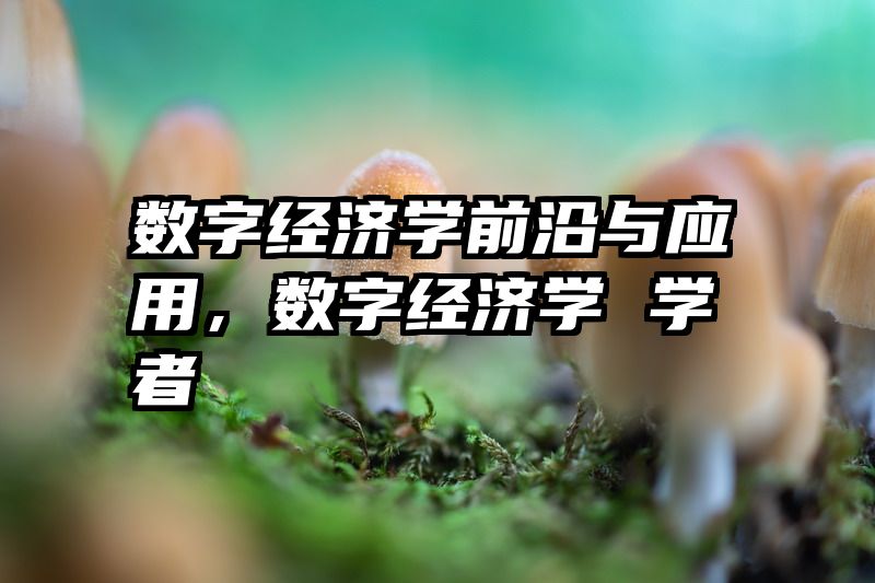 数字经济学前沿与应用，数字经济学 学者