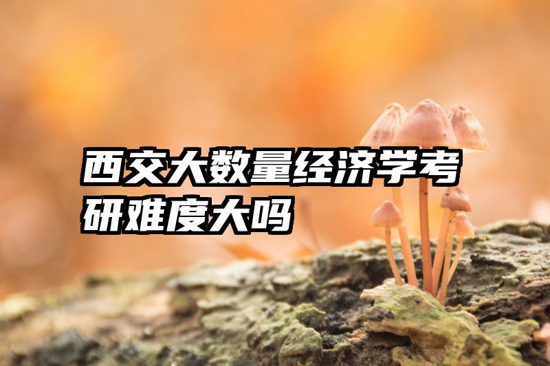 西交大数量经济学考研难度大吗