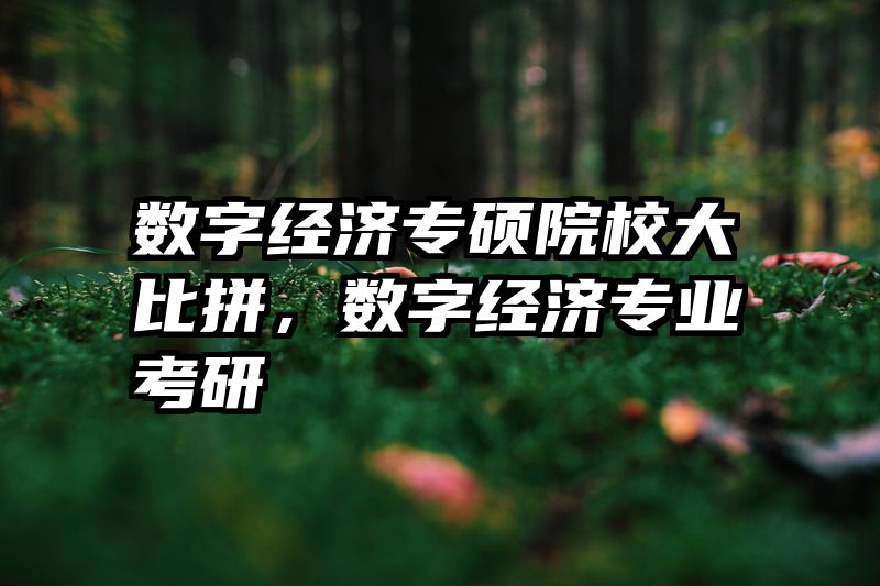 数字经济专硕院校大比拼，数字经济专业考研