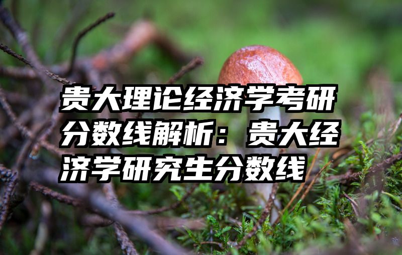 贵大理论经济学考研分数线解析：贵大经济学研究生分数线