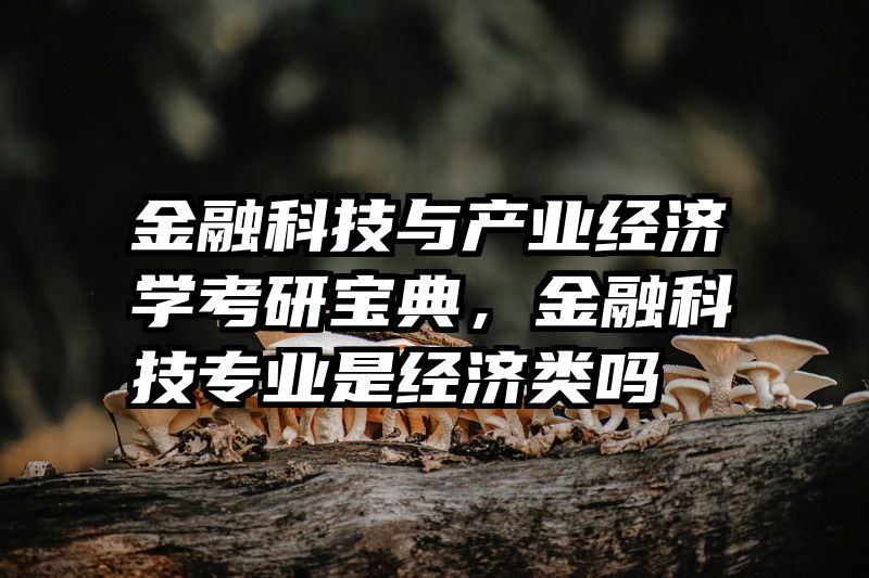 金融科技与产业经济学考研宝典，金融科技专业是经济类吗