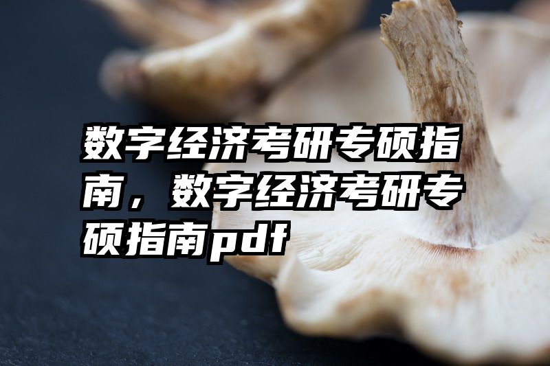 数字经济考研专硕指南，数字经济考研专硕指南pdf