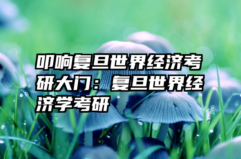 叩响复旦世界经济考研大门：复旦世界经济学考研