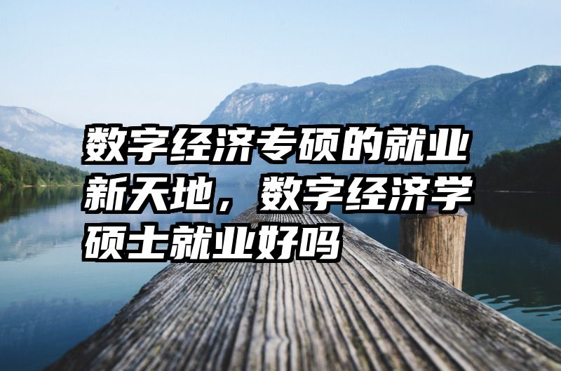 数字经济专硕的就业新天地，数字经济学硕士就业好吗