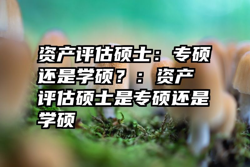 资产评估硕士：专硕还是学硕？：资产评估硕士是专硕还是学硕