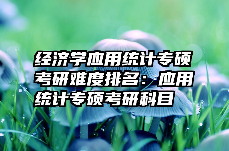 经济学应用统计专硕考研难度排名：应用统计专硕考研科目