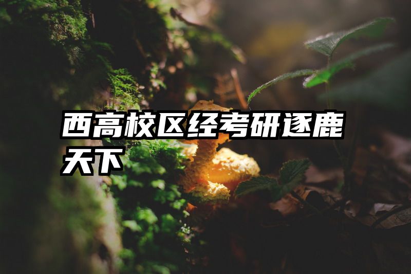 西高校区经考研逐鹿天下