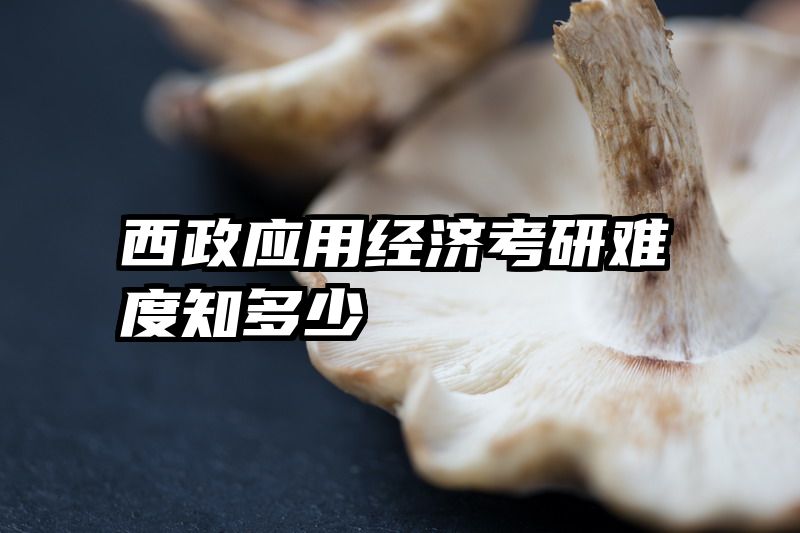 西政应用经济考研难度知多少