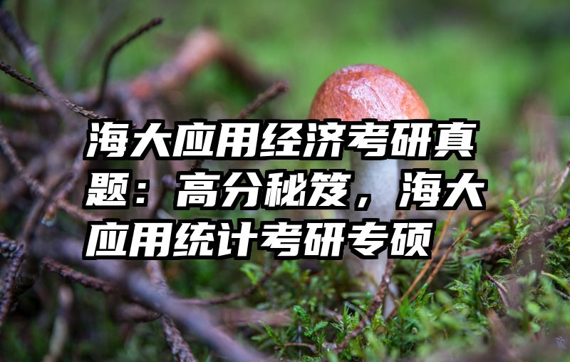 海大应用经济考研真题：高分秘笈，海大应用统计考研专硕