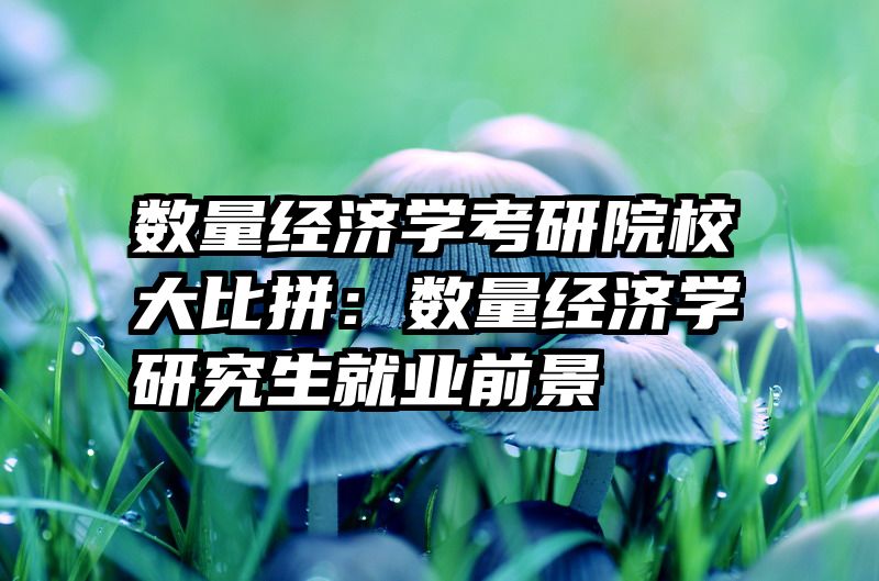 数量经济学考研院校大比拼：数量经济学研究生就业前景