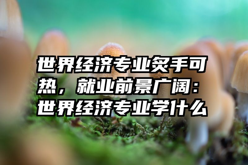 世界经济专业炙手可热，就业前景广阔：世界经济专业学什么