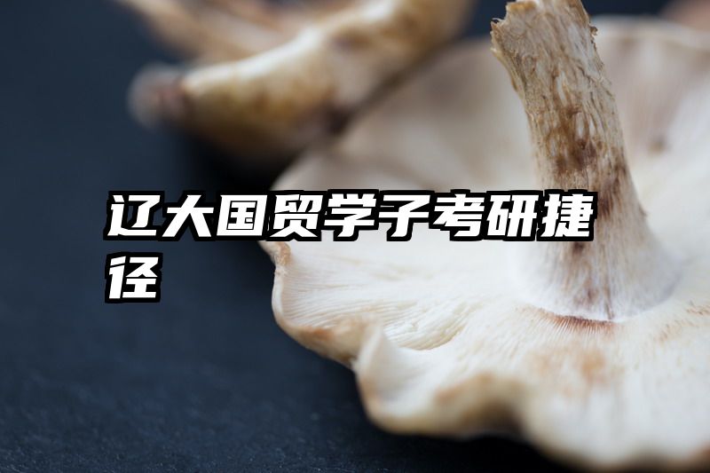 辽大国贸学子考研捷径