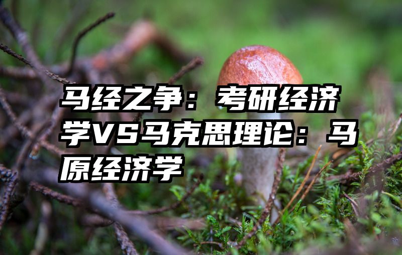 马经之争：考研经济学VS马克思理论：马原经济学