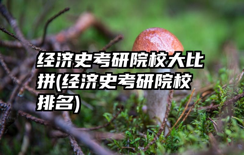 经济史考研院校大比拼(经济史考研院校排名)