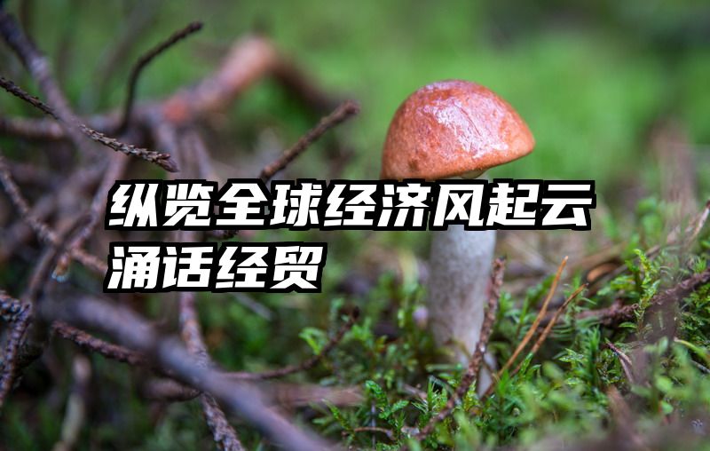 纵览全球经济风起云涌话经贸